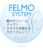 FELMO SYSTEM
